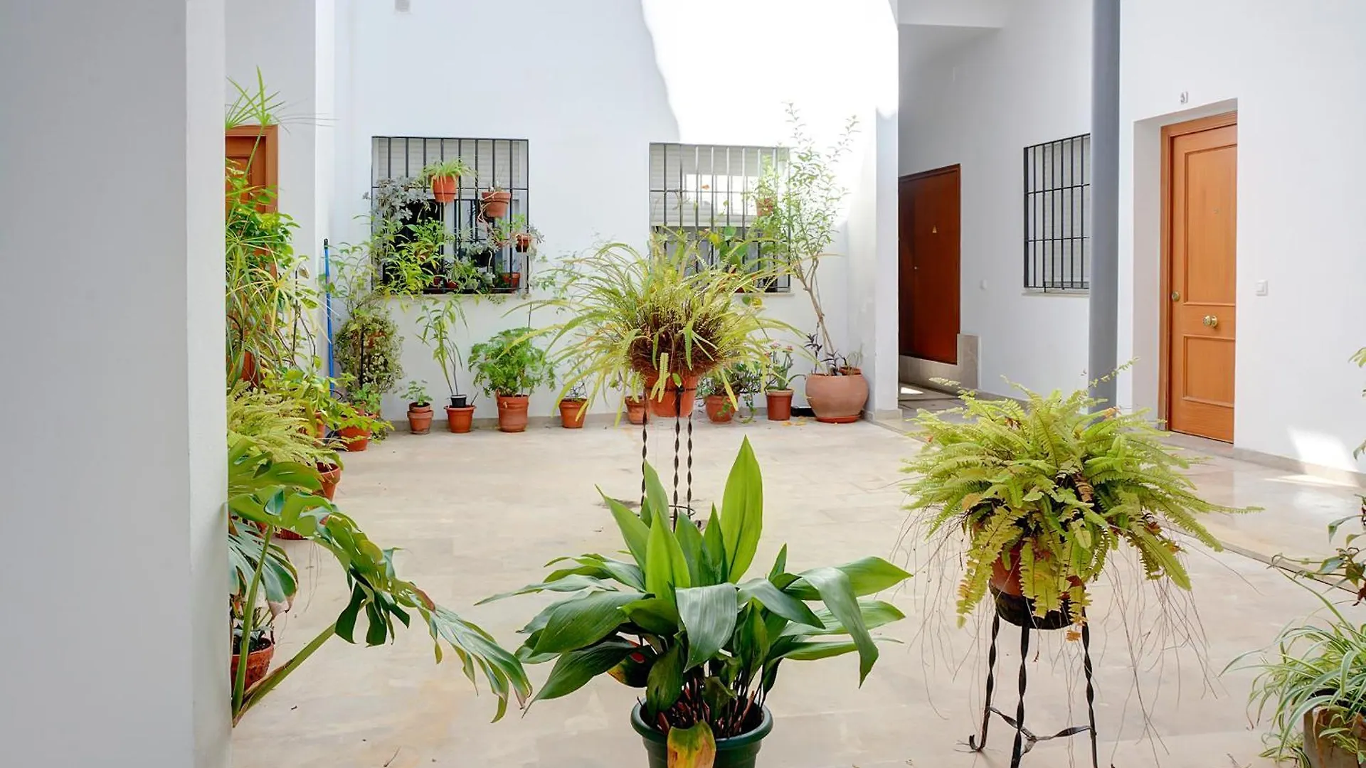 Estudio Plaza de la Encarnacion Sevilla 0*,